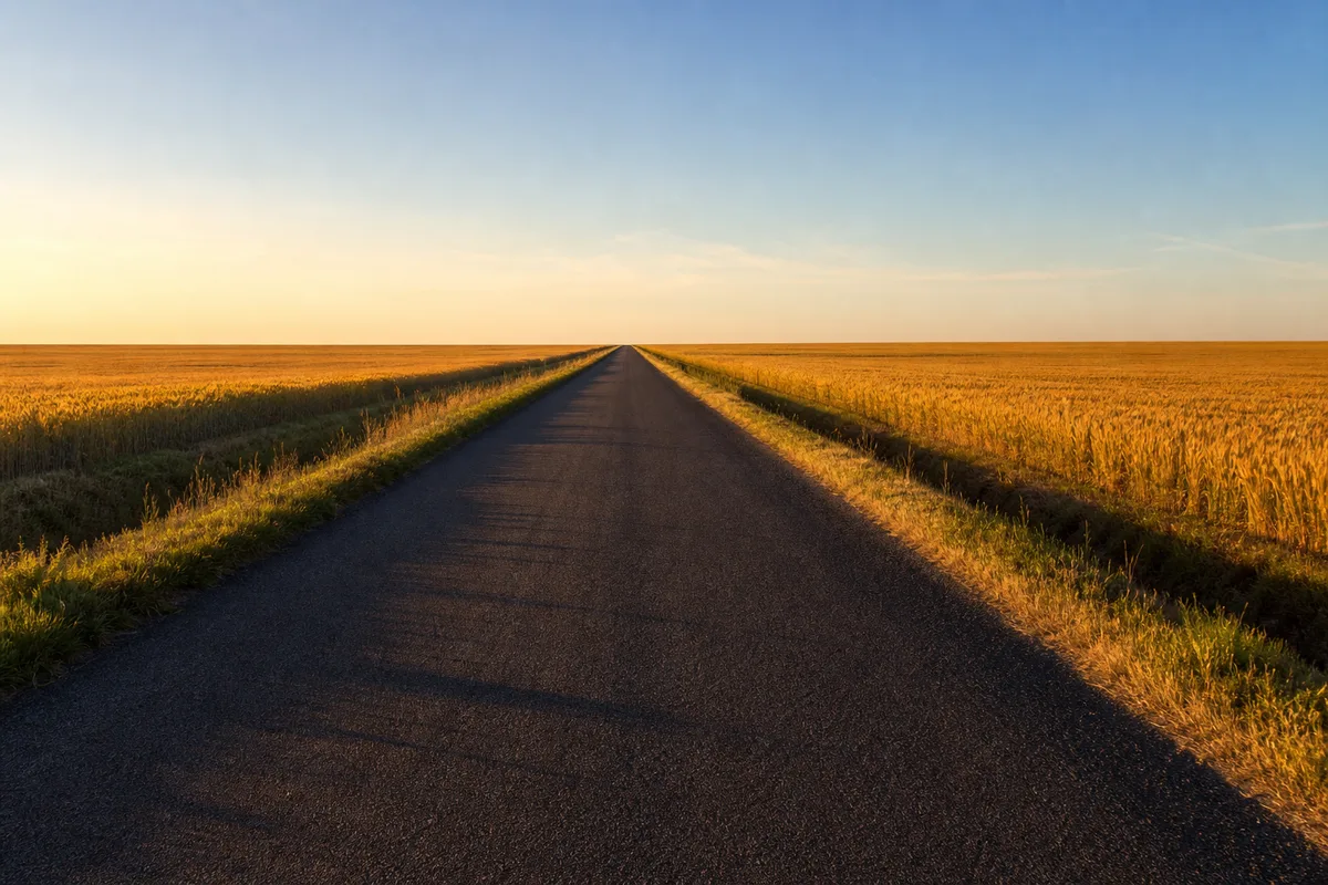 Route de campagne rectiligne traversant des champs de céréales mûres sous une lumière rasante de fin de journée