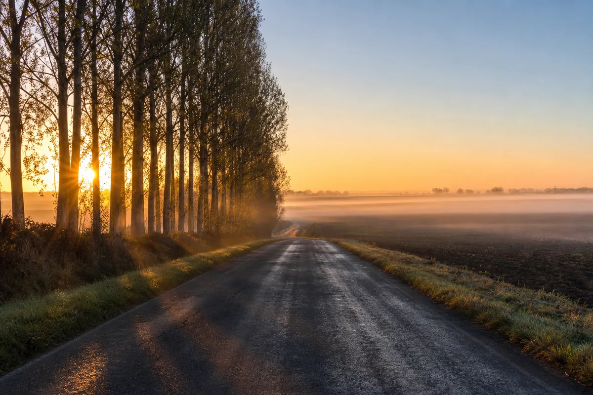 Route départementale traversant un plateau agricole au lever du soleil, brume rasante sur les champs et alignement de peupliers